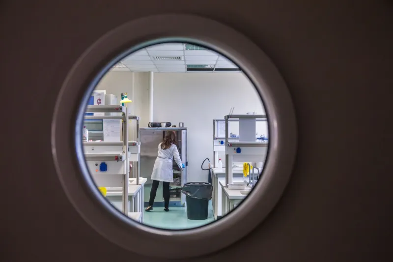 The Narrow Room: On the Quiet Suffering of Those Who Know Everything About Almost Nothing